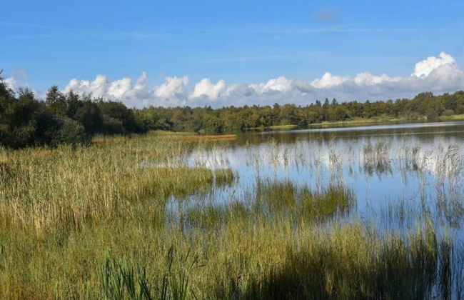 4 Star Holiday Home in Ansager - Photo 30