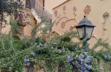 Agriturismo La Vecchia Fontana - Foto 14