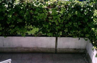 Vivi la versilia e le 5 terre - Foto 30