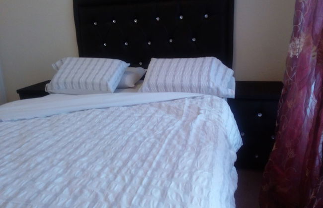 The Royal Princess Garden - Honeydew - Photo 7