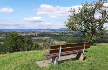 Ferienwohnungen Reußner - Foto 3