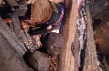 Casa de Campo dos Távoras - Foto 68