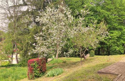 Kuća za odmor Trnac - Foto 24