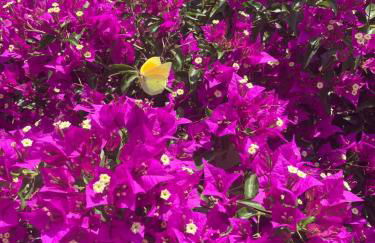 Ferienwohnung für Naturfreunde - Foto 16