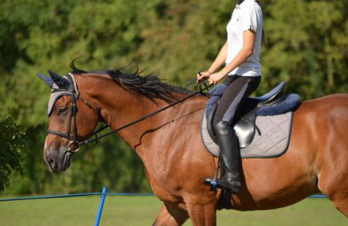 Agriturismo Domus Magna - Foto 33