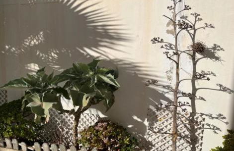 Ferluán II - Foto 66