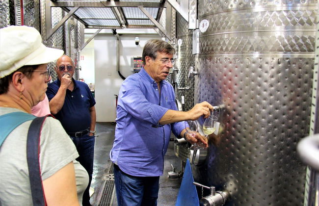 Tzionis Petroktisto Holiday Stonehouse - Photo 58