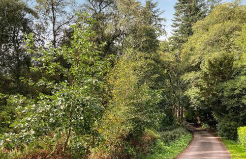 South Lodge - Foto 10