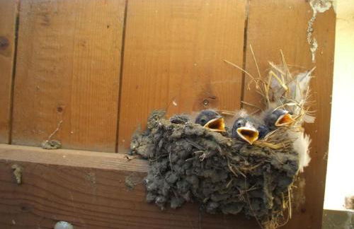 Holiday Home Oderhäuschen by Interhome - Photo 31