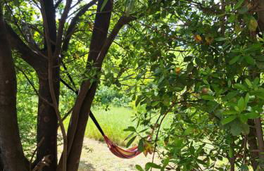 B&B Le Scintille - Foto 66