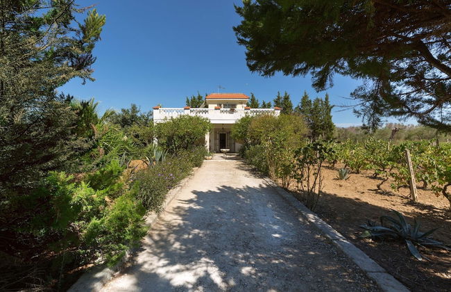 2090 La Terrazza del Salento - Foto 35