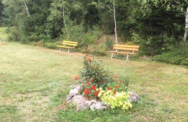 Apartmán Frauenberg - Haidmühle - Foto 21