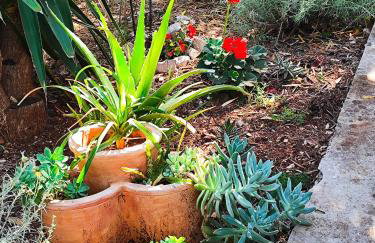 Weekend house Olive garden - Foto 28