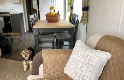 Newquay Blue Water - Foto 11