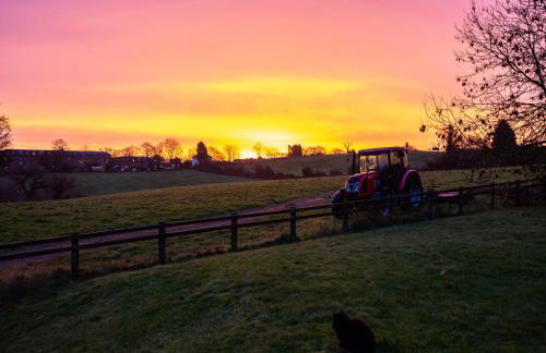 Nature's Lodge - Foto 43