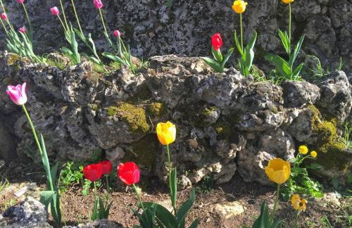 Alojamientos Turisticos La Utrera - Foto 21