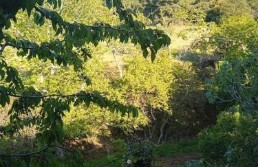 House in the Forest - Foto 32