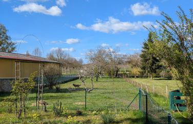 PETIT MAS COSY DU BORD DE LOIRE a 15 MM DU PARC LE PAL - Foto 4