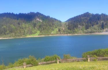 Miedzy Owcami Meeee - Foto 10