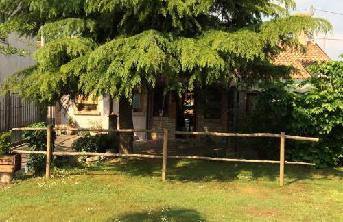 La Casina del Delta del Po - Foto 40