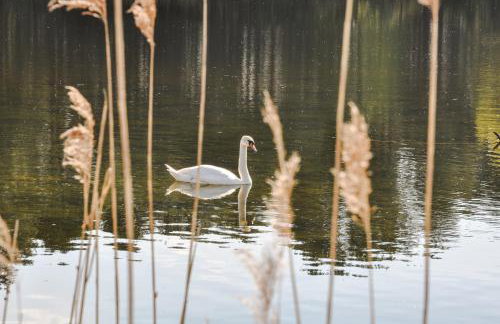 Modrzewiowe Wzgorze - Foto 26