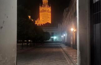 Apartamento Jardin de Santa Paula - Foto 7