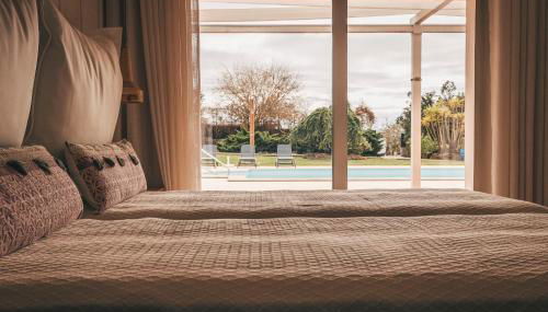 Vale Pisco - Photo 2