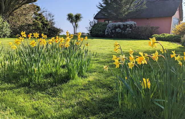 Mole Cottage - Foto 47