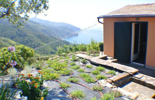 Walk and Relax Retreat - HOMY 5 TERRE - Foto 1