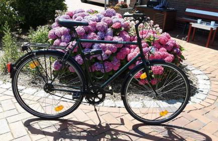 Best of Kollmar - Apartment mit Terrasse für 2 Personen absolut ruhig - Foto 33