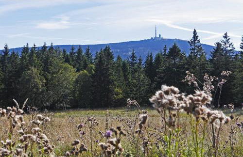 Ferienwohnung Osterbrink - Foto 19