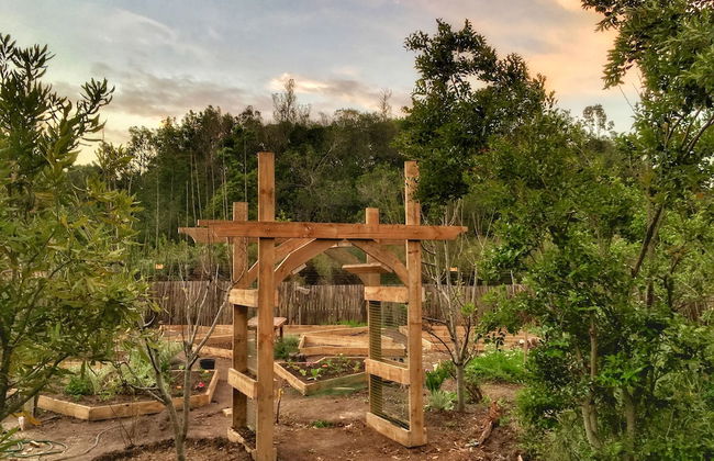 Forest Edge - Foto 78