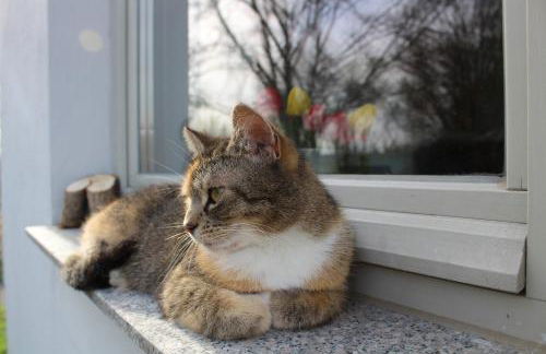 EG Die alte Stadtmühle von Kloster Zinna - Foto 12