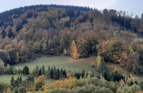 Domek Ostoja - Foto 49