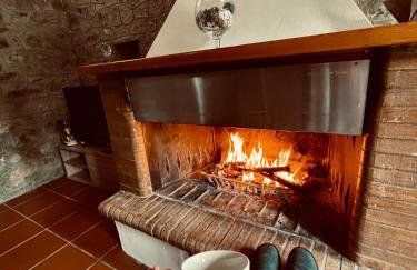 Citrus garden - Photo 46