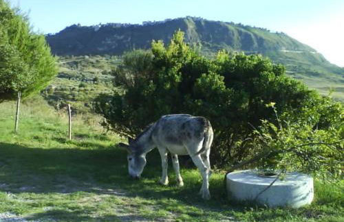 Giardino Donna Lavia - Foto 70