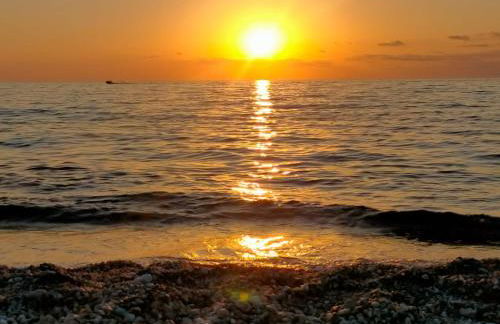 Sole D'oriente - Foto 9