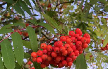 Ferienhaus AUSZEIT - Foto 51