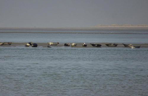 Farmhouse in Lancheres Near Somme Bay - Foto 31