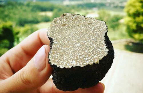 Il tiglio b&b agri restaurant - Foto 23