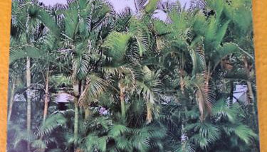 Recanto das Flores Lofts - Ilha Grande Rj - Foto 4