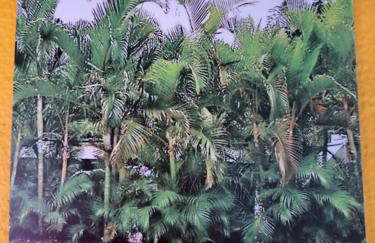 Recanto das Flores Lofts - Ilha Grande Rj - Foto 4