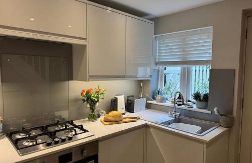 Wellingtons - Foto 3