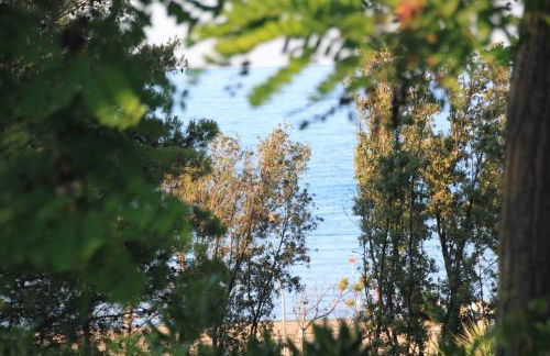 La collinetta sul mare - Foto 26