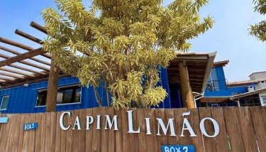 Capim Limão Containers do Rosa - Photo 5