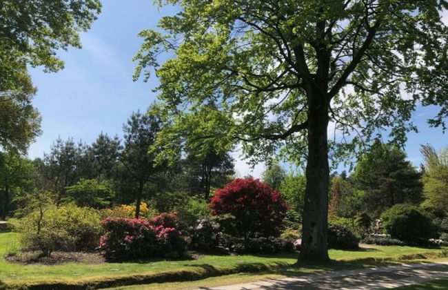 Holiday Apartment Heidi and Holger - Foto 22