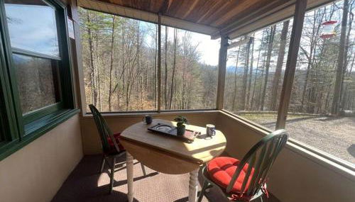 Private Mtn Love Shack w/ fast wifi, BBQ & view - Foto 4