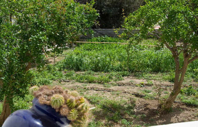 Family Holidays House Koutsouras by GHH - Foto 21