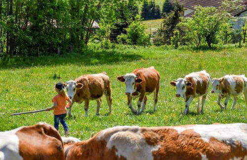 Urlaub auf dem Haberlhof - Foto 34