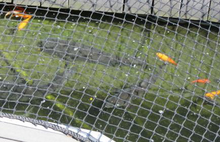 Les Terrasses sur Seine - Foto 41